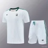 26/27 Liverpool White Short-Sleeve Training Kit