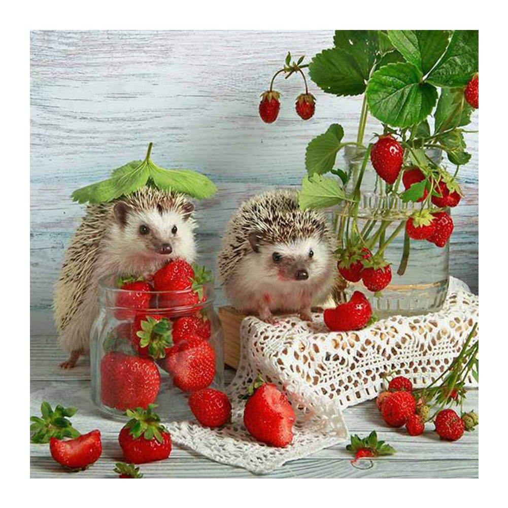 

Hedgehog - Round Drill Diamond Painting - 30*30CM, 501 Original