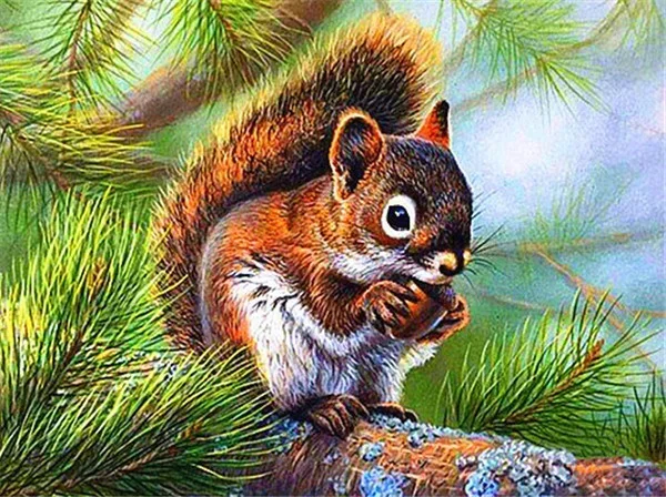 Diamond Painting - Full Round/Square Drill - Squirrel(30*40 - 50*60cm)