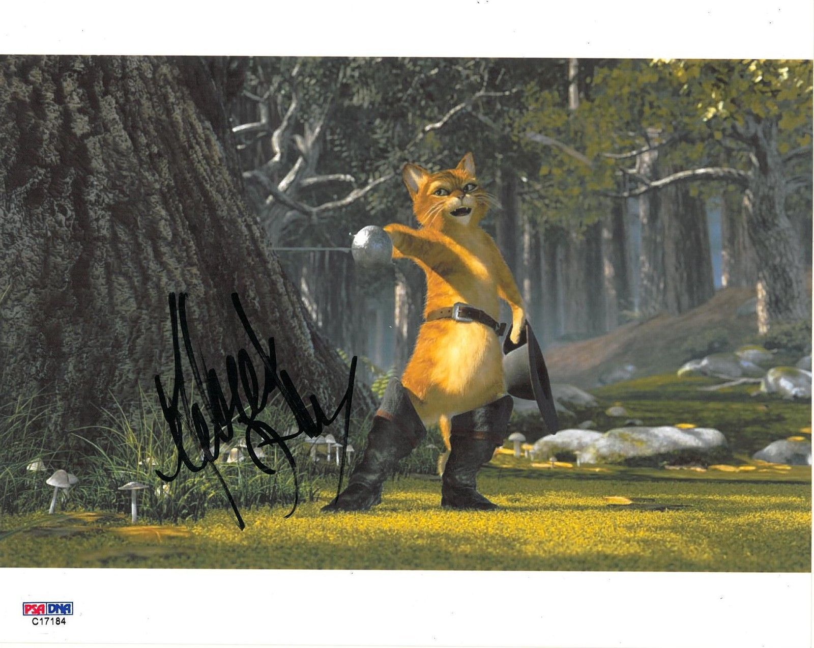 Antonio Banderas Signed Shrek Autographed 8x10 Photo Poster painting (PSA/DNA) #C17184