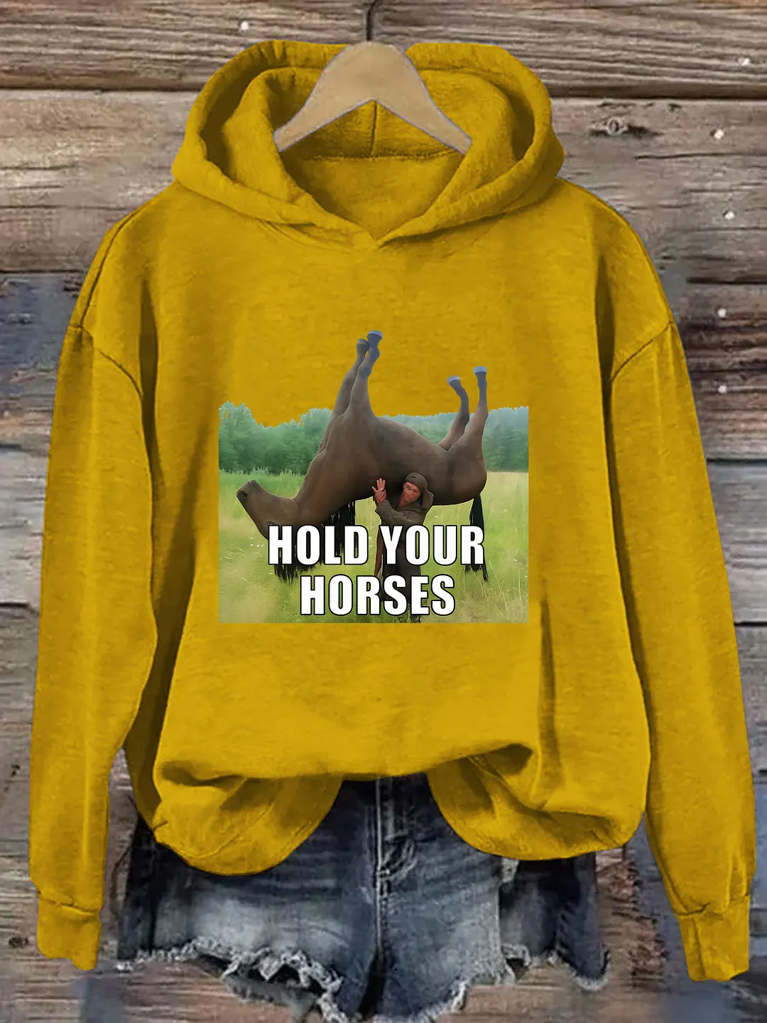 Hold Your Horses Funny Hoodie