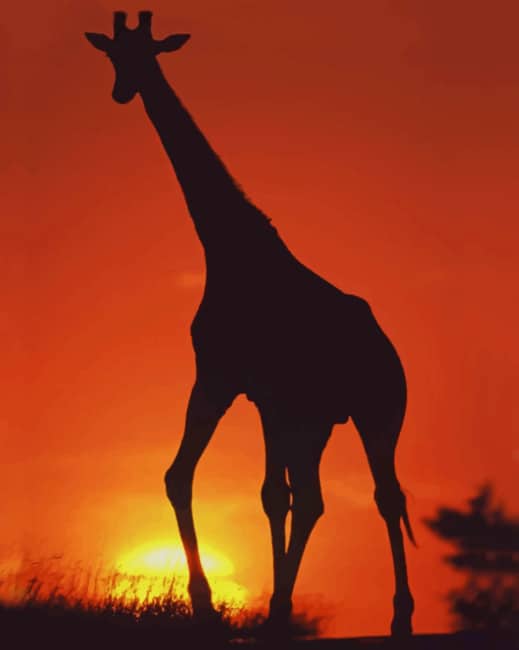 

Giraffe Silhouette – Paint By Numbers - 40*50CM, 501 Original