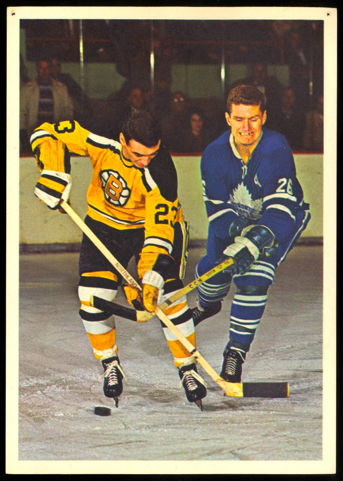 1963-64 TORONTO STARS IN ACTION JEAN GUY GENDRON BOSTON BRUINS HOCKEY Photo Poster painting CARD