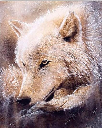

Alaskan Gray Wolf – Paint By Numbers - 40*50CM, 501 Original