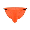 Sexy Lingerie Men's Mini Low Waist Bikini Erotic Panties