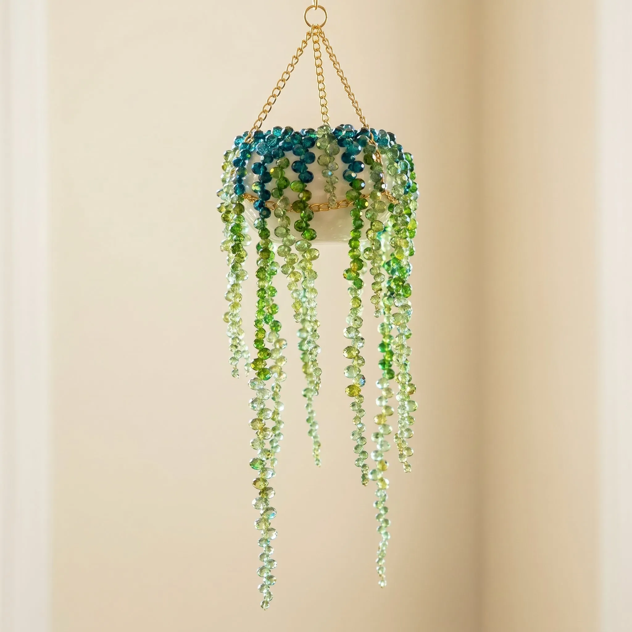 Plant Suncatcher DIY Kit