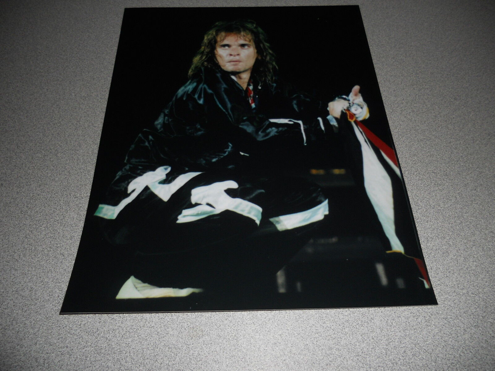 David Lee Roth Van Halen Live 8x10 Concert Photo Poster painting #12