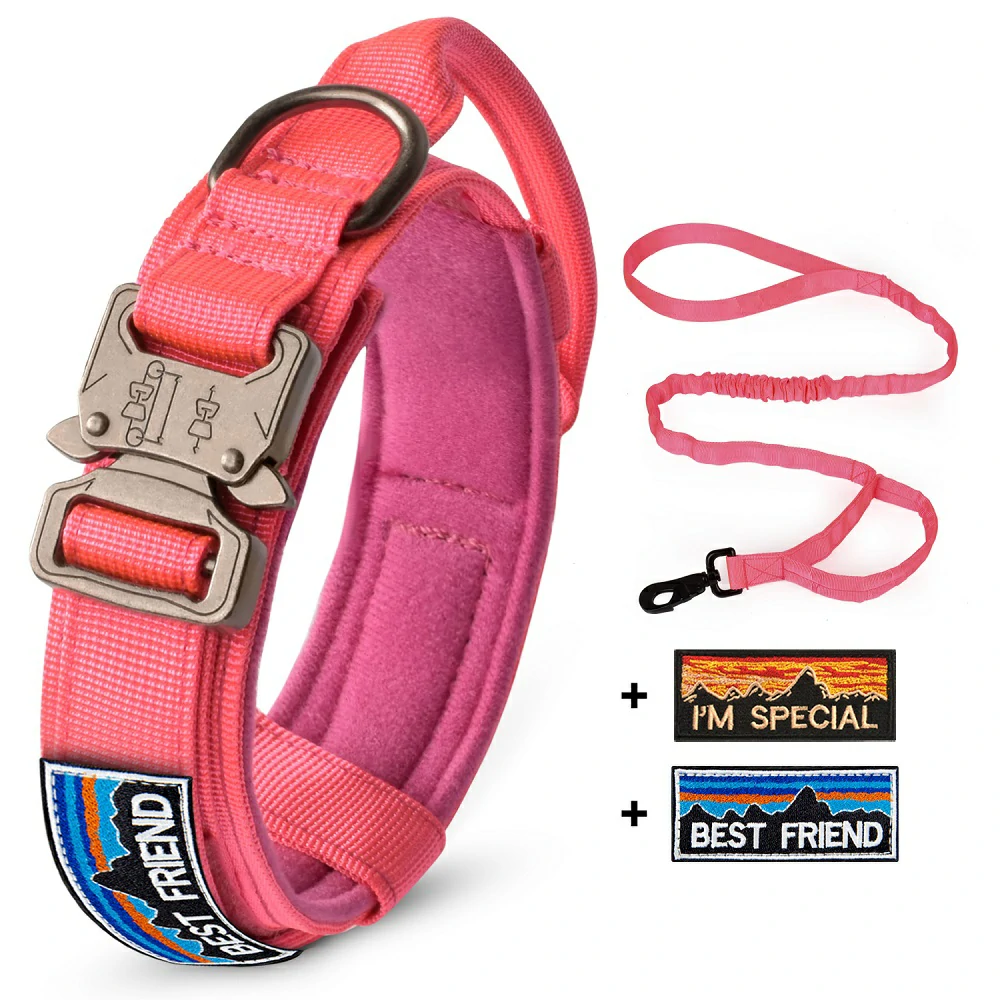 Illuminate Your Night Walks with Tactical Dog Collar & Leash Set!