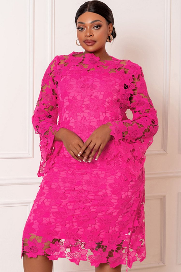 Xpluswear Design Plus Size Daily Hot Pink Lace Hollow Out Bell Sleeves Mini Dresses