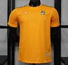 Player Version 2026 Ivory Coast Orange Terrace Icons White Jersey