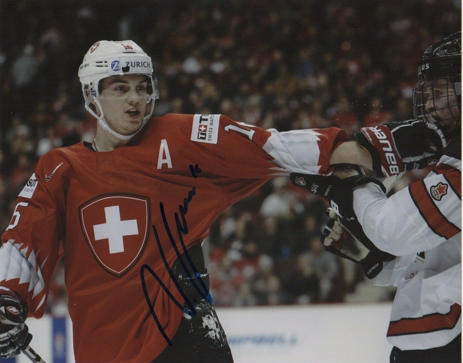 Switzerland Nico Gross Signed Autographed 8x10 NHL Photo Poster painting COA #4