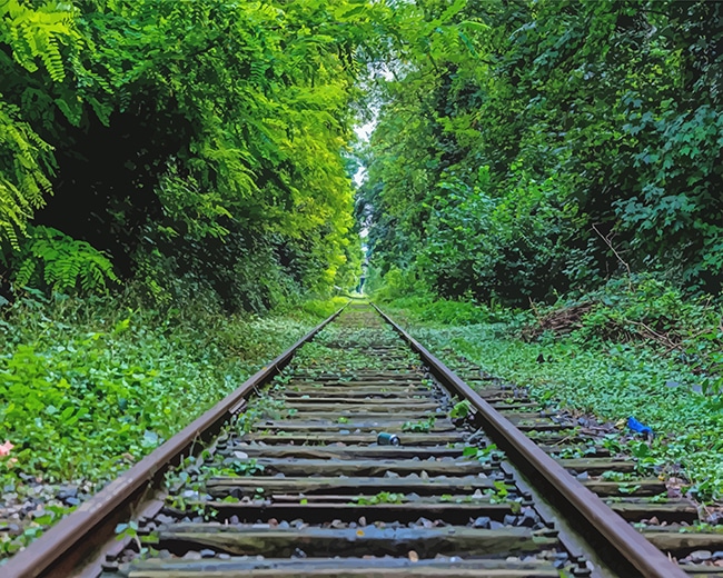 

Train Rail – Paint By Numbers - 40*50CM, 501 Original