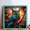 【Limited Stock Sale】Owl - 11CT Stamped Cross Stitch 50*50cm/19.69*19.69in