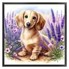 Lavender And Dachshund-11CT Stamped Cross Stitch 40*40cm/15.75*15.75in