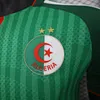 Joyfball 2026 Player Version Algeria National Team Away Stars Football Shirt（The player version jersey is a bit tight, please pay attention to the size selection）