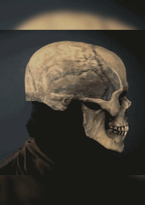 Full Head Skull Mask With Movable Jaw