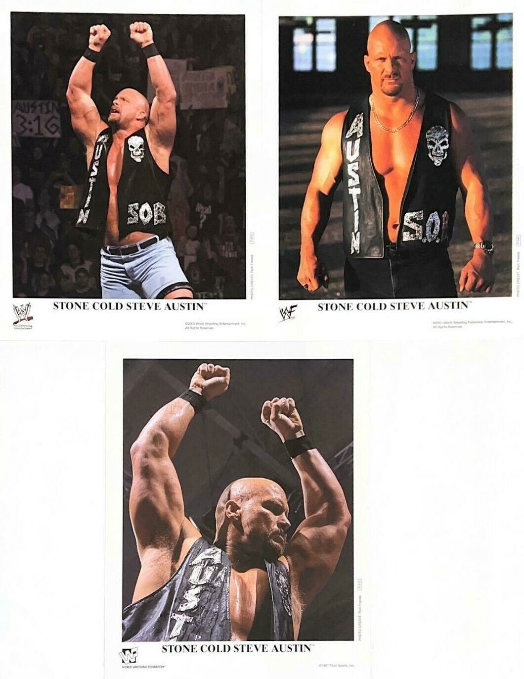 WWE STONE COLD LOT OF 3 OFFICIAL LICENSED AUTHENTIC ORIGINAL 8X10 PROMO Photo Poster paintingS