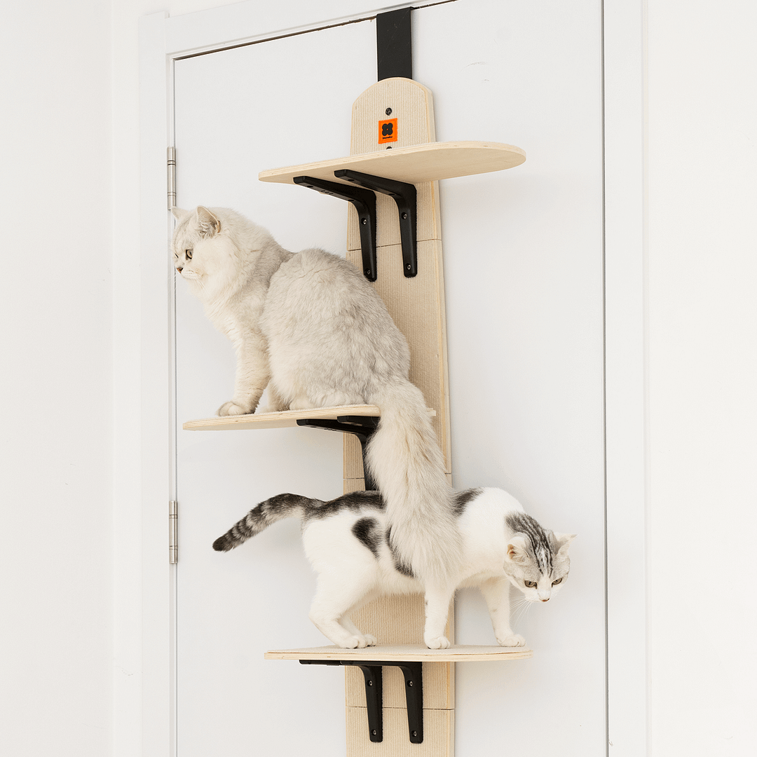 Door Hanging Cat Climber Shelves | Mewoofun