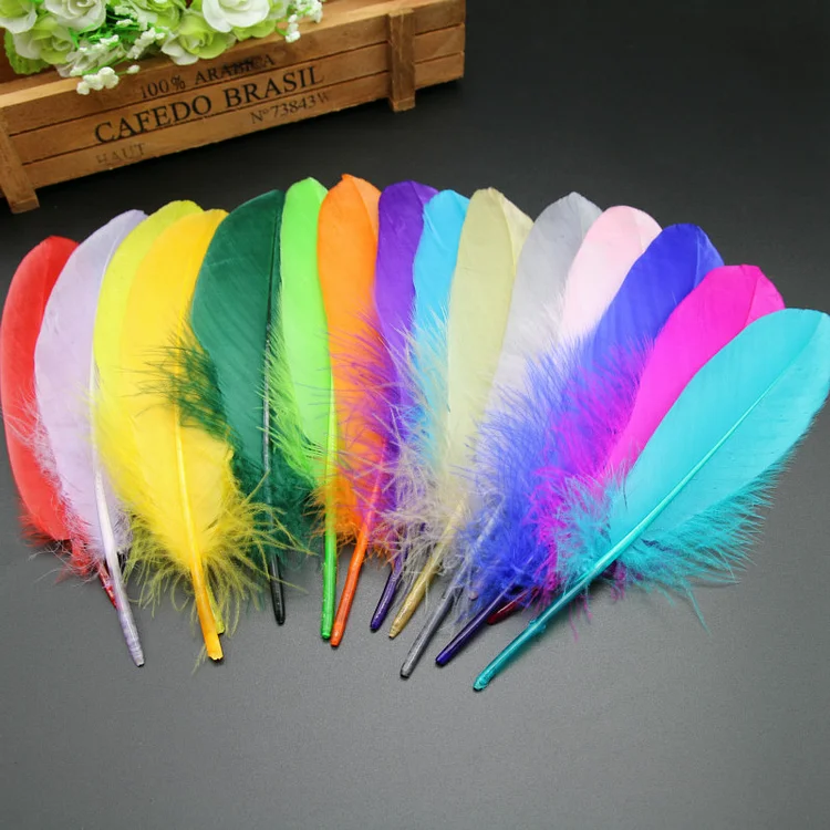 1 Rainbow Ostrich Feather Small a la carte Dreamcatchers Smudge Craft  Feathers