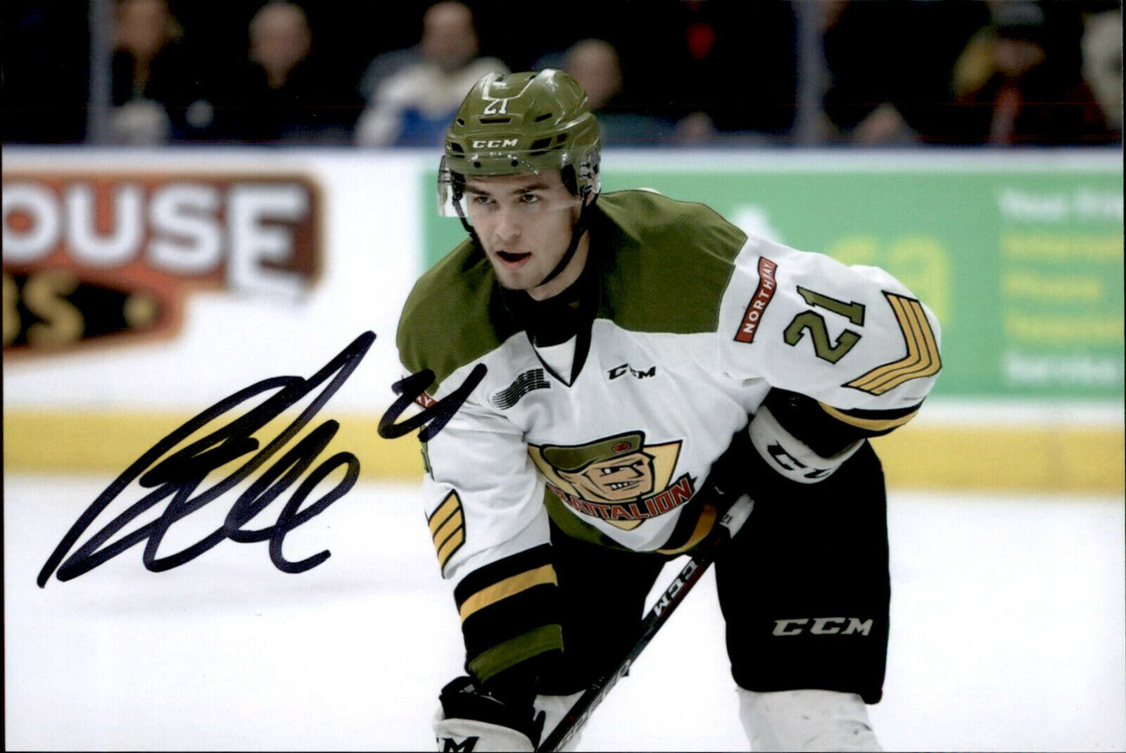 Brandon Coe SIGNED autographed 4x6 Photo Poster painting NORTH BAY BATTALION / SAN JOSE SHARKS 2