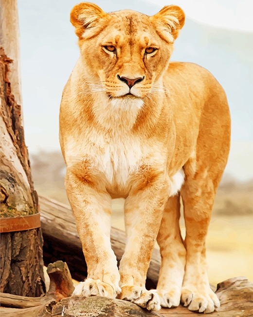 

Brown Lioness Standing – Paint By Numbers - 40*50CM, 501 Original
