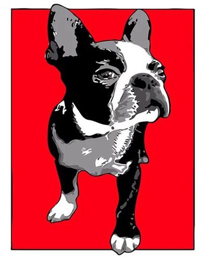 

Boston Terrier Dog – Paint By Numbers - 40*50CM, 501 Original