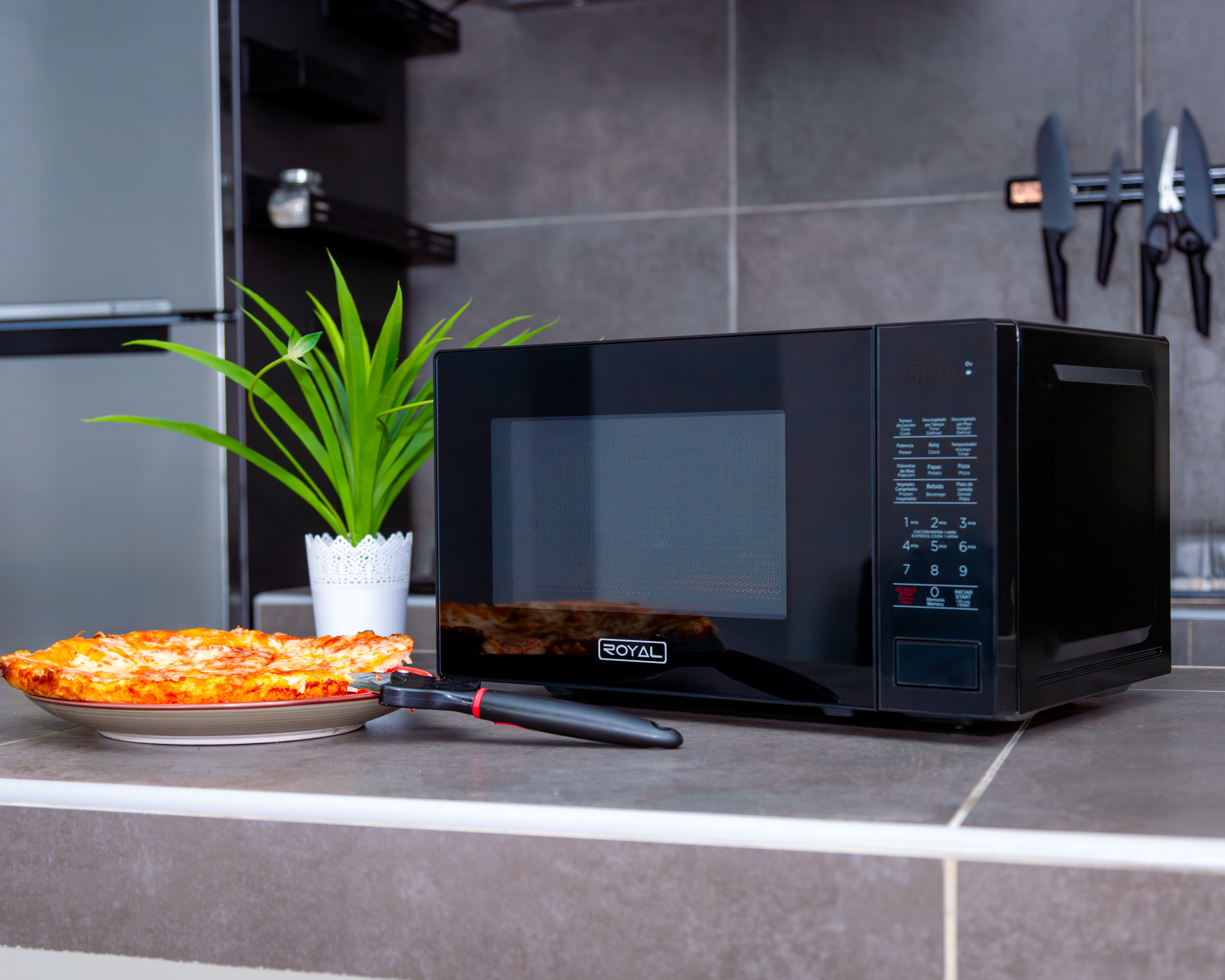 ¡Cocina rápido y fácil! Top de recetas en 5 Minutos para tu microondas