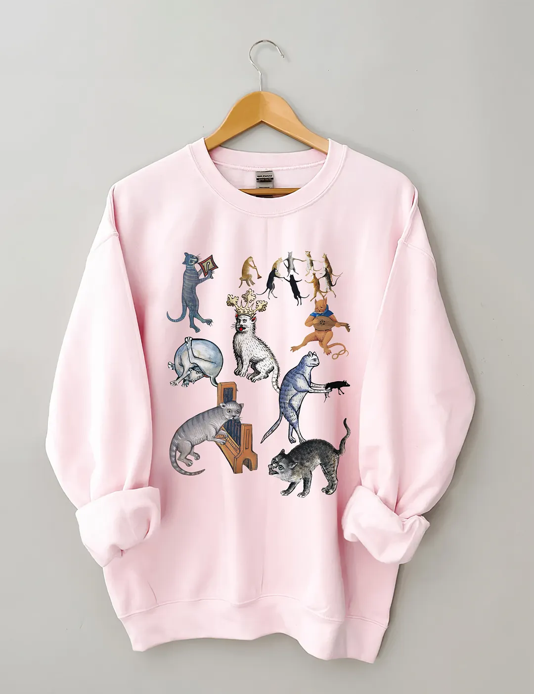 Weird Medieval Cat Party Sweatshirt