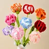(Finished Product)Crochet Carnation Artificial Carnation Exquisite Aesthetic for Gift Home Office Decor