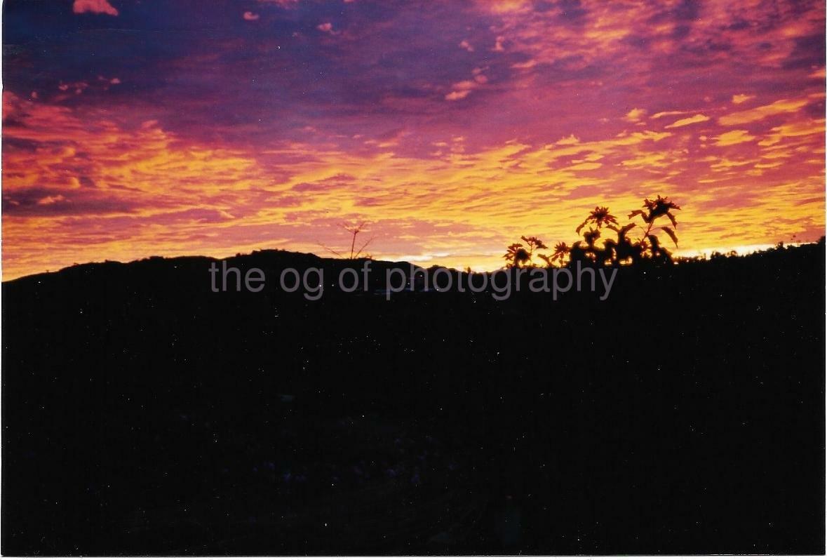 Sky On Fire FOUND Photo Poster painting ColorOriginal Snapshot VINTAGE 99 14 Z3