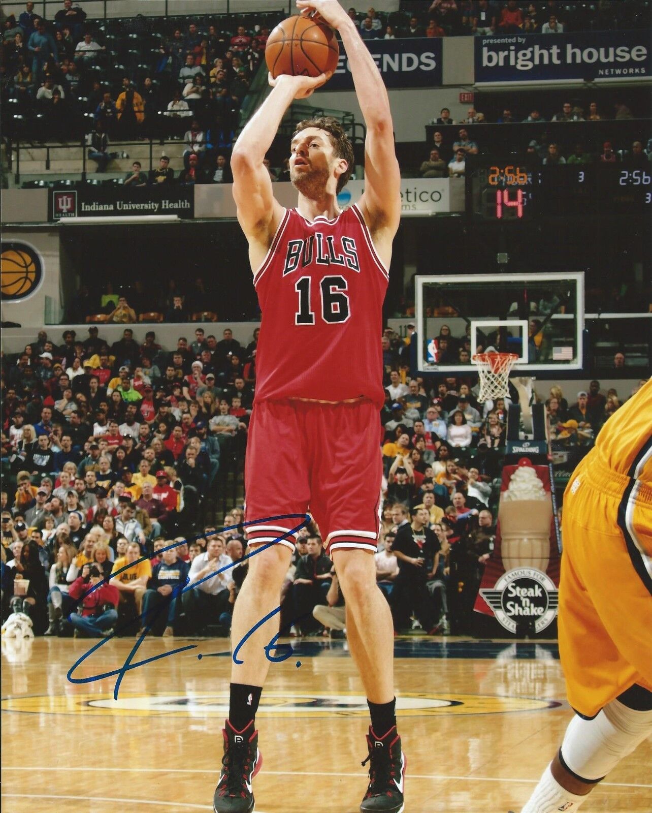 PAU GASOL signed autographed CHICAGO BULLS 8x10 Photo Poster painting w/COA