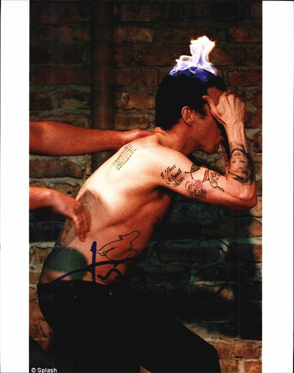 Steve O authentic signed celebrity 8x10 Photo Poster painting W/Cert Autographed 51816j1