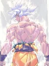 Ultra Instinct Son Goku Decorative Painting - Dragon Ball - H-TWO Studio