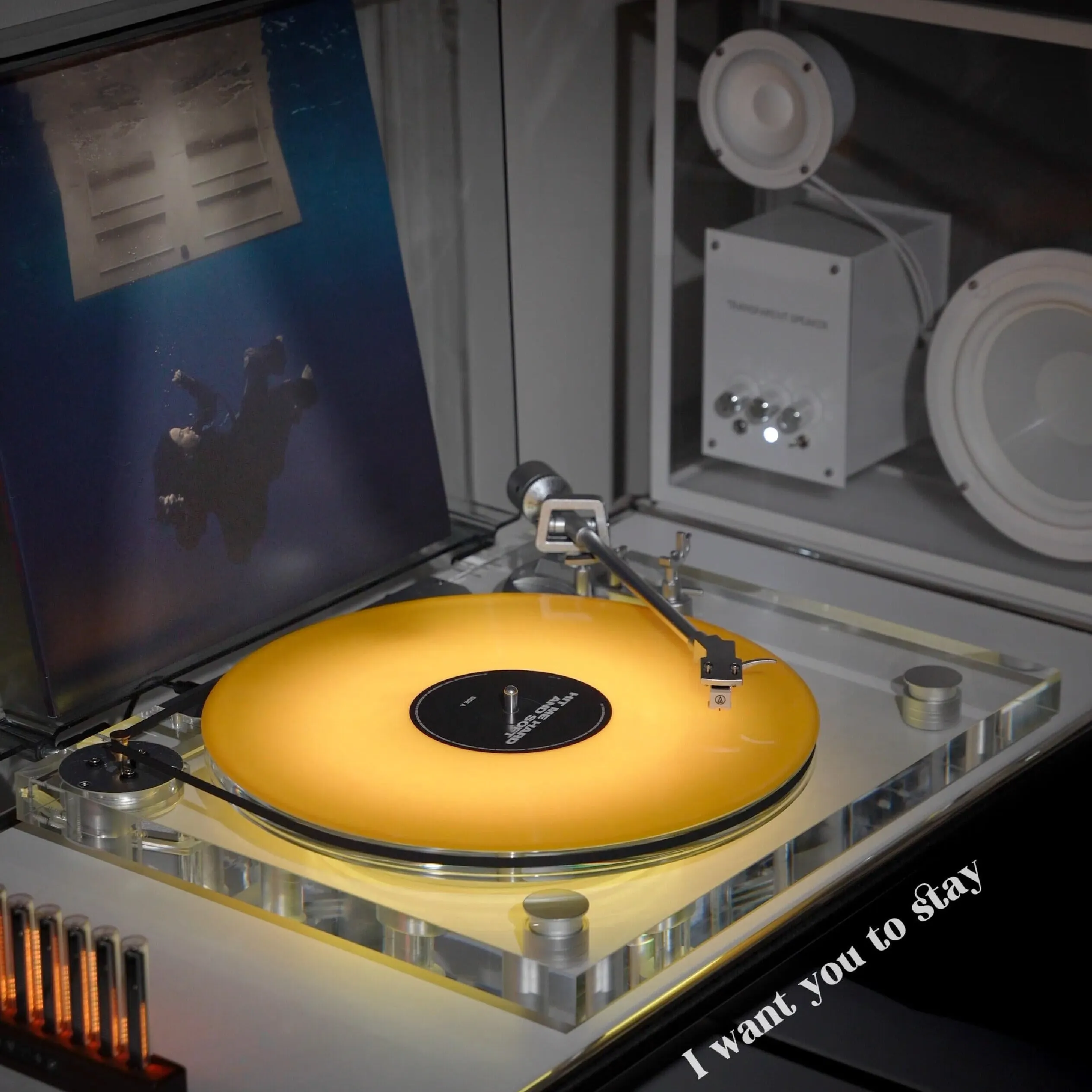 Genesis-V2 vinyl setup — community photo 10