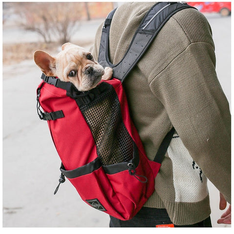Motorcycle Dog Carrier - Pet Carrier & Purse | GROOMY