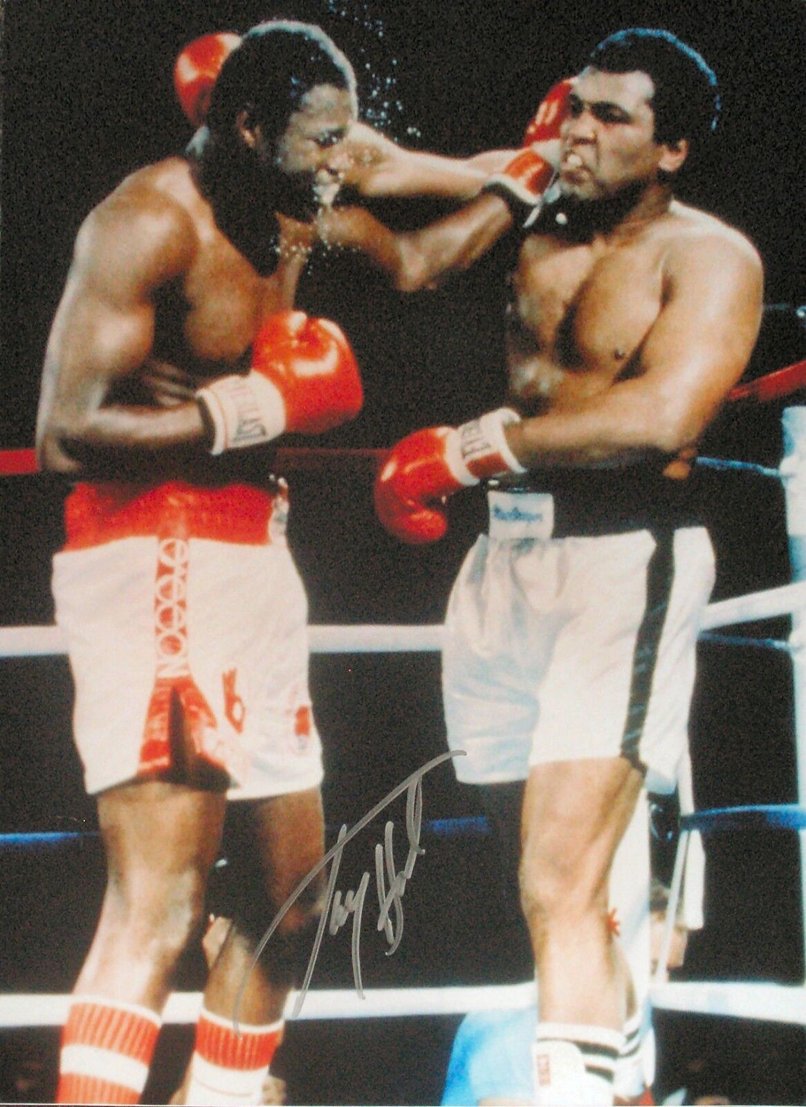 LARRY HOLMES WORLD CHAMPION SIGNED 16x12