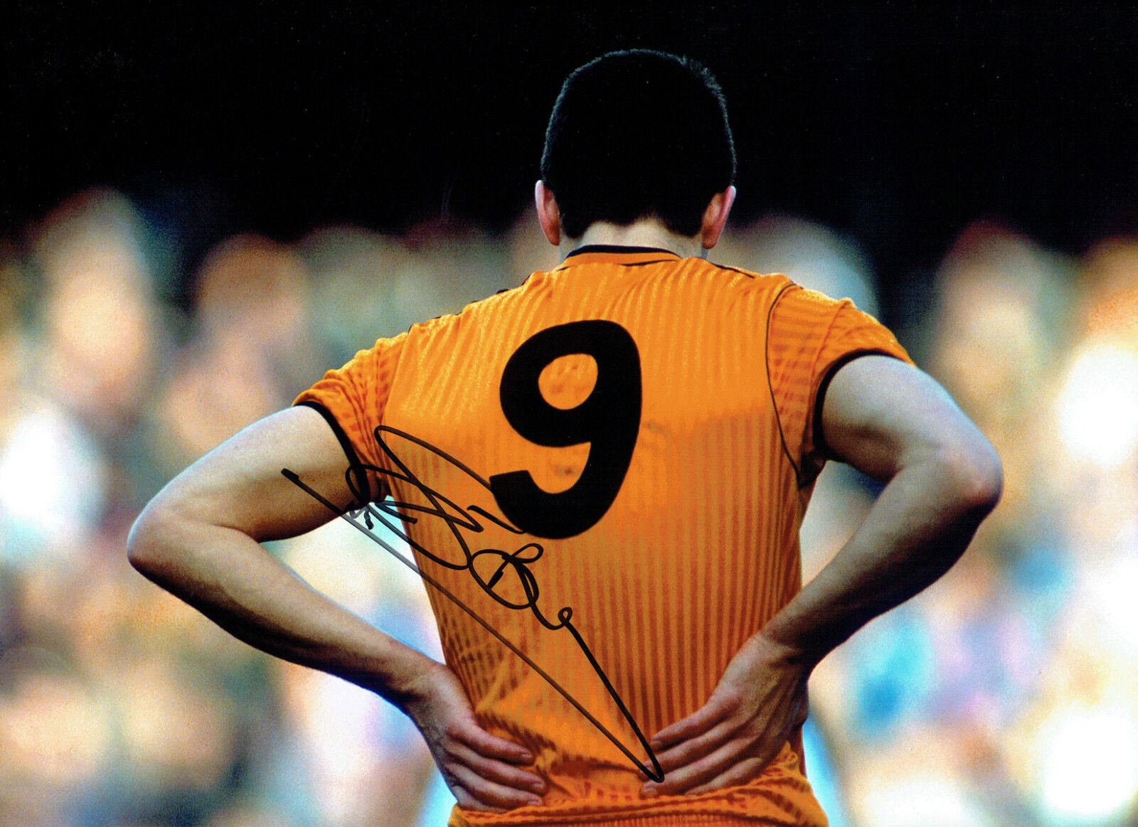 Steve BULL Football LEGEND 16x12 Signed Autograph WOLVES Photo Poster painting C AFTAL COA