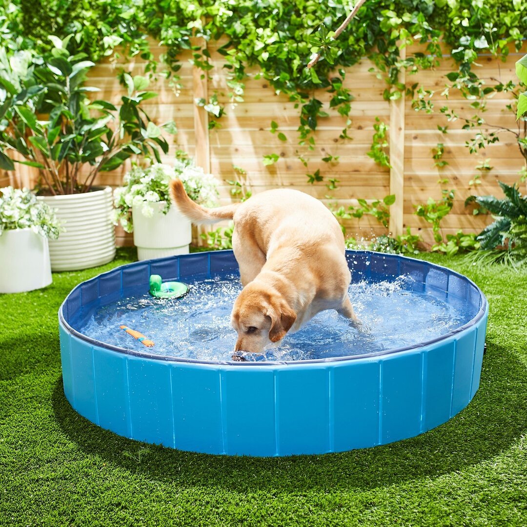 xl foldable dog pool