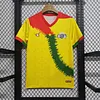 2024 Burkina Faso Third Away Football Shirt 1:1 Thai Quality