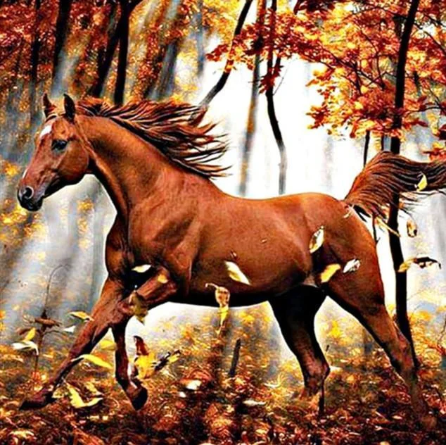 Full Round Diamond Painting - Horse(30*30cm)