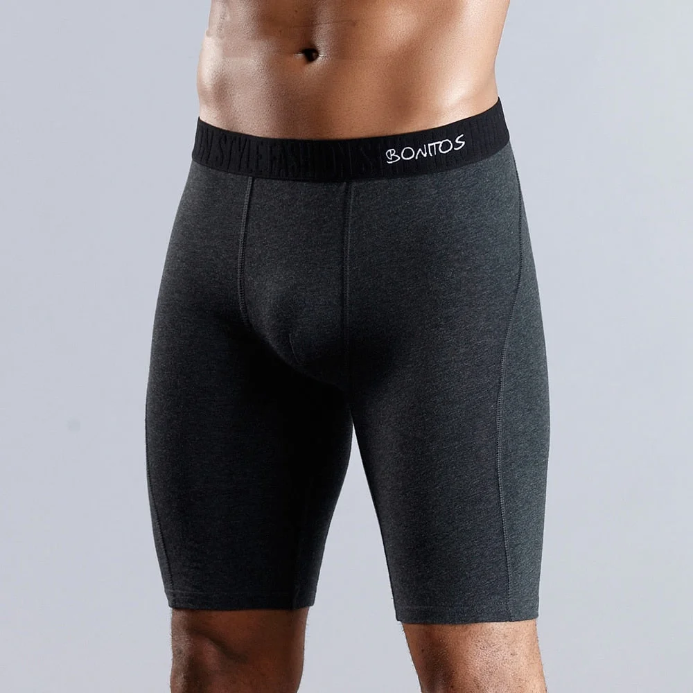 Aonga Long Mens Underpants Cotton Man Underwear  Men's Panties Brand Boxers For Family  Boxershorts Boxer Male Shorts Calecon