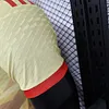 2024/2025 Player Version Spain Special Edition Football Shirt 1:1 Thai Quality
