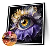 5D DIY Full Round Drill Diamond Painting Eye Kit Home Decor Art Craft 30x30cm (B)