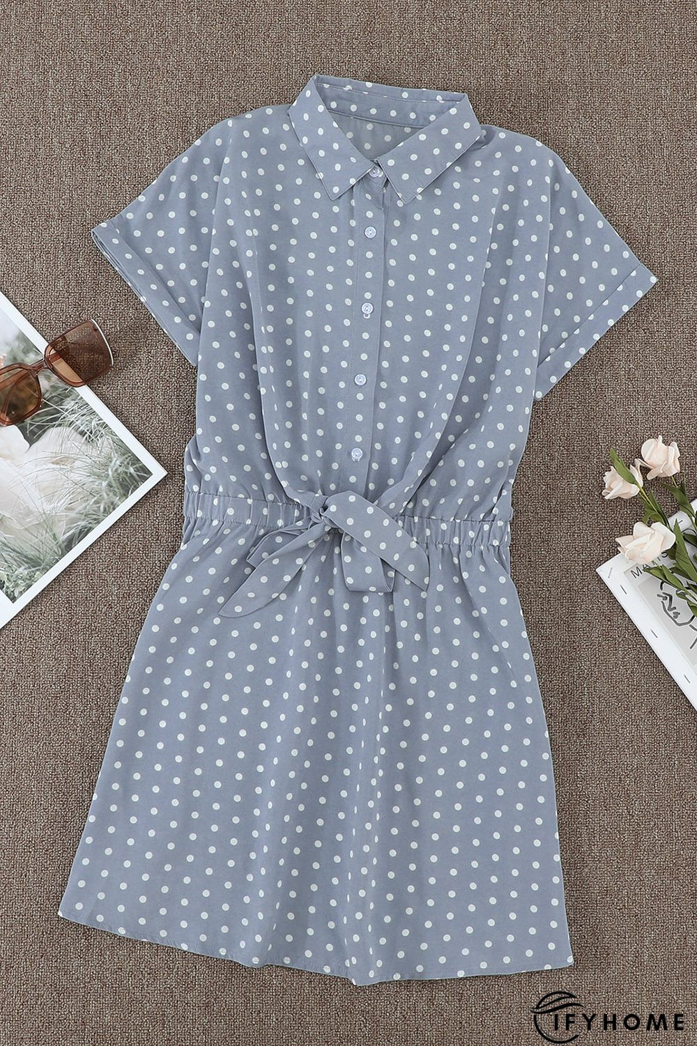 Polka Dot Shirt Collar Short Sleeve Mini Dress | IFYHOME