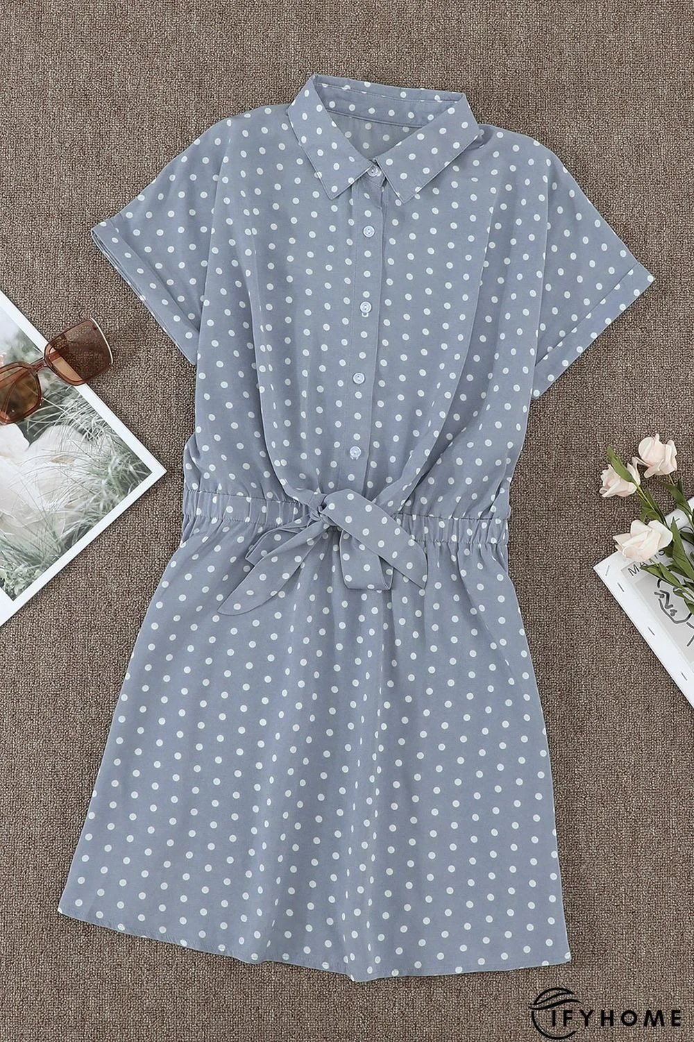 Polka Dot Shirt Collar Short Sleeve Mini Dress | IFYHOME