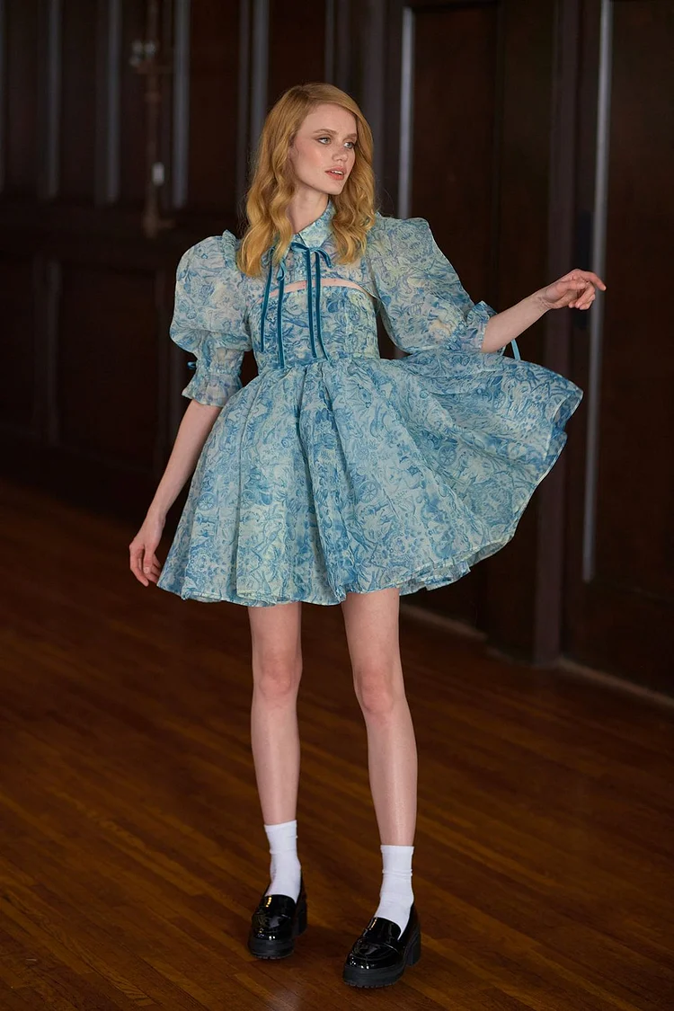 Floral Puff Sleeve Lace Up Doll Collar Mini Dress