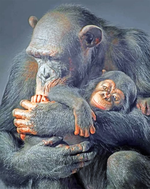 

Gorillas – Paint By Numbers - 40*50CM, 501 Original