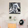 Dragon-11CT Stamped Cross Stitch 40*40cm