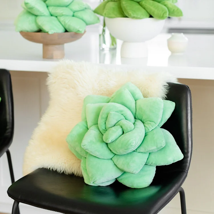 Succulent - Sage Green
