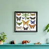 【Limited Stock Sale】Colorful Butterfly Logo-14CT Stamped Cross Stitch 34*30cm/13.39*11.81in tapestrymarket